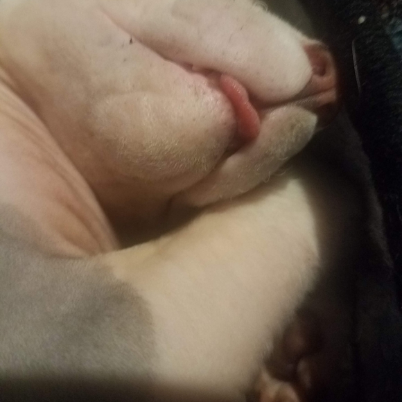 Meet your Posher, Sally - Picture 14 of 14